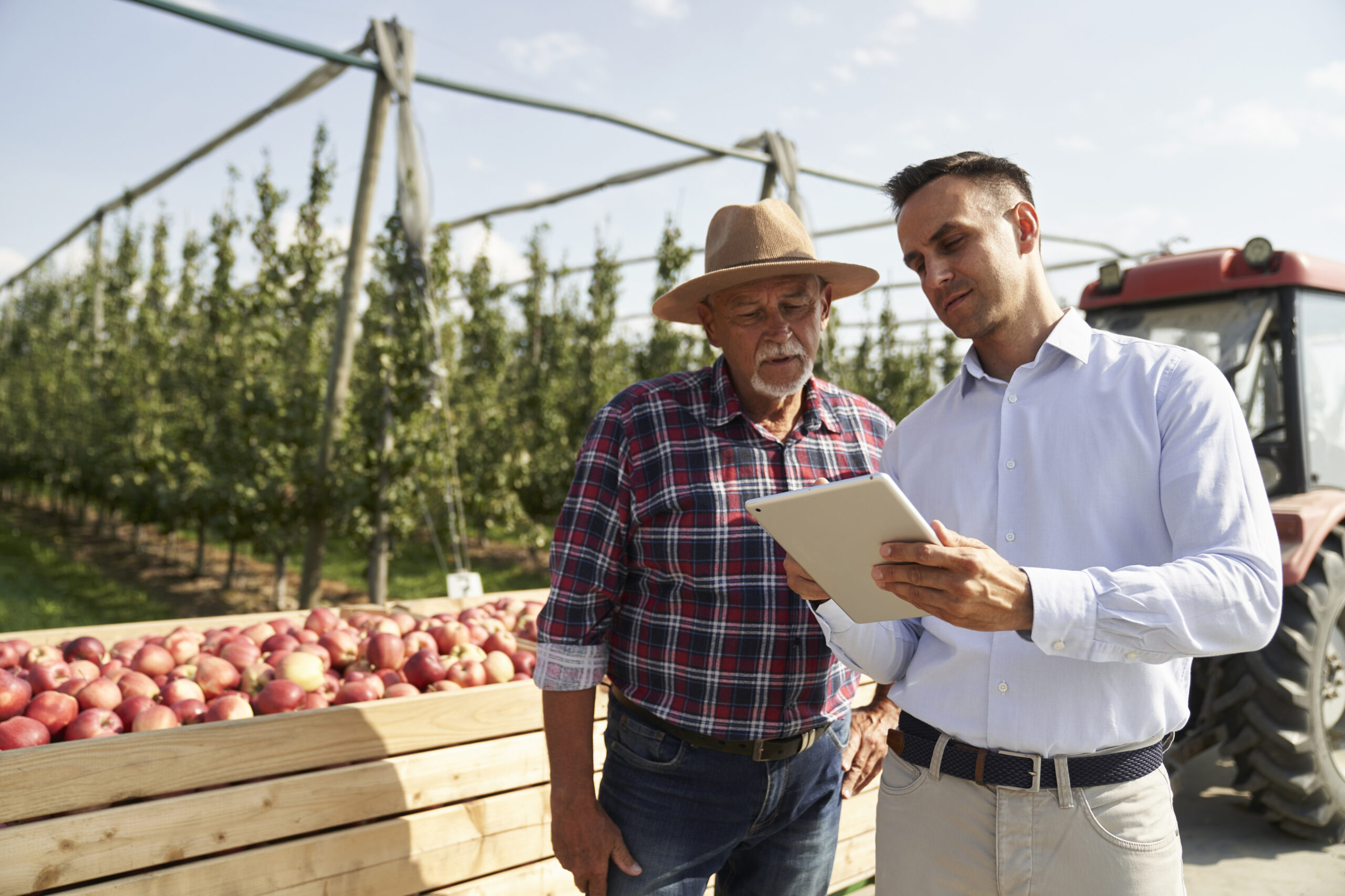 agromarketing-estrategia-para-vendas