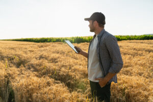 conteudo-para-agro-pos-safra