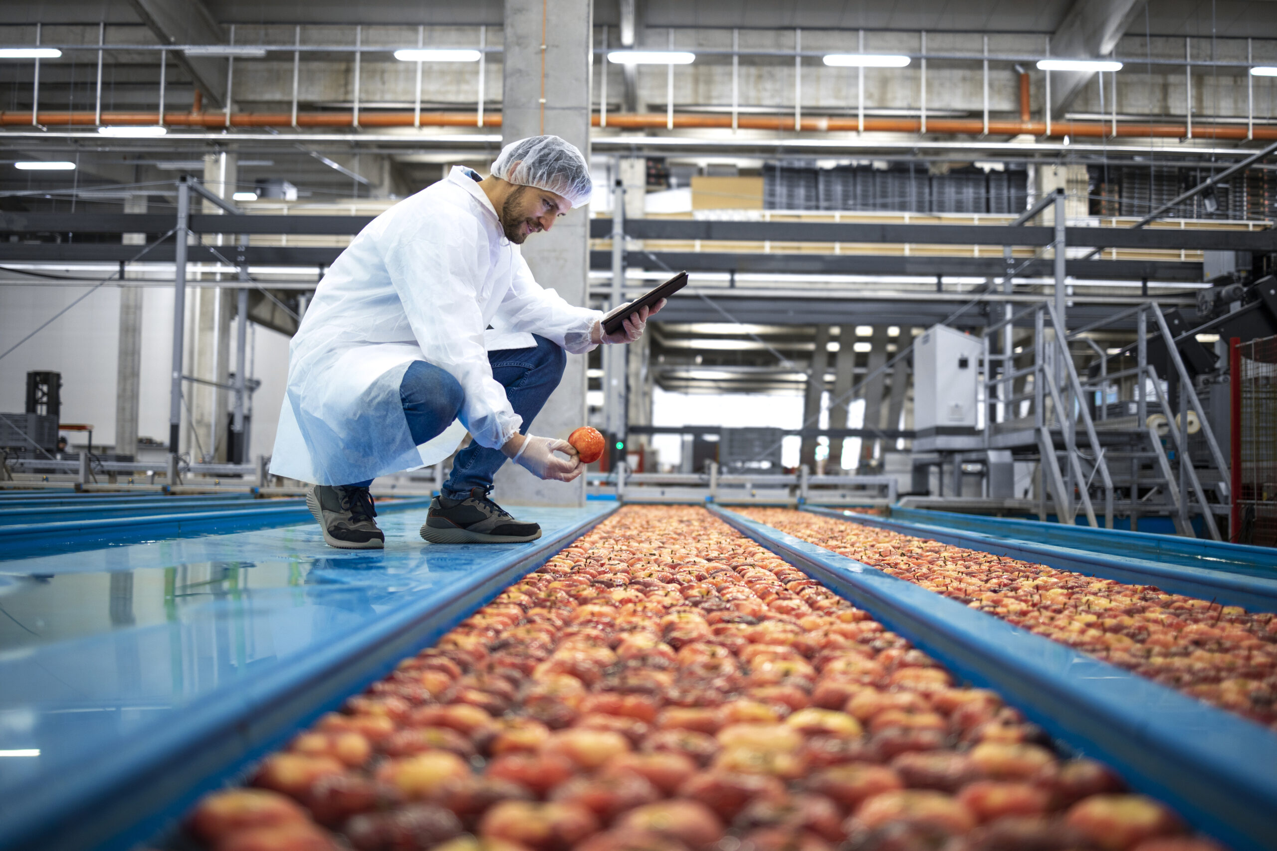 marketing-para-agroindustria-vender-mais